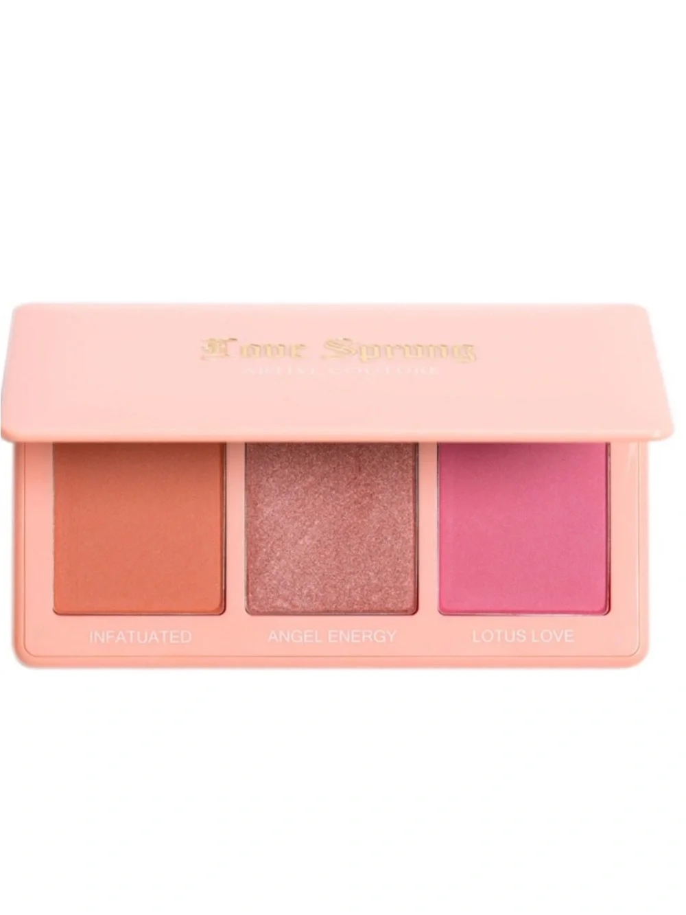 Artist Couture Love Sprung Cheek Face Palette Vol II BNIB NWT Full Size